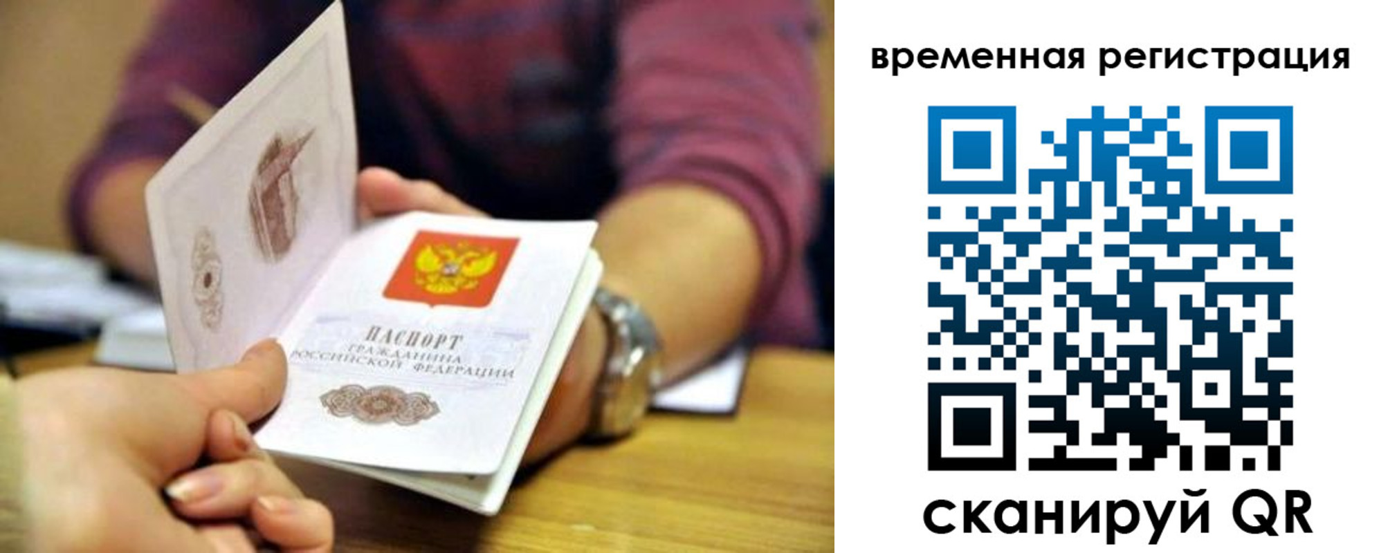 прописка штамп в Зверево